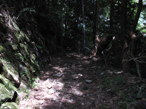 20140524hike (136)